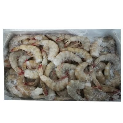 COLA LANGOSTINO