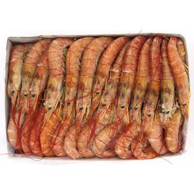 GAMBÓN